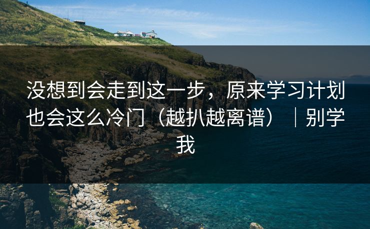 没想到会走到这一步，原来学习计划也会这么冷门（越扒越离谱）｜别学我