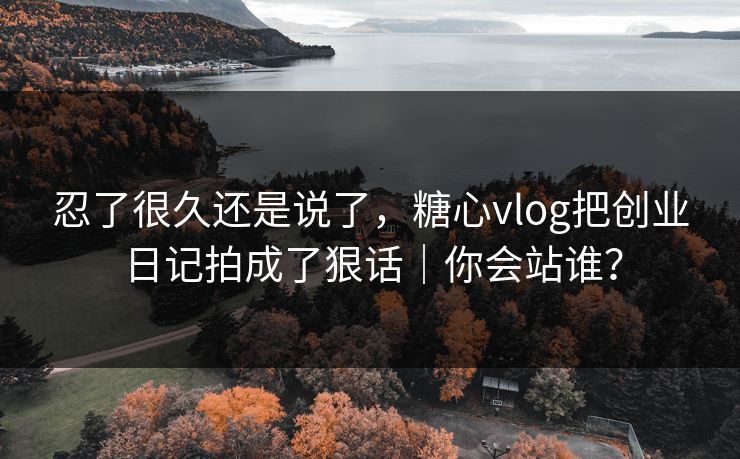忍了很久还是说了，糖心vlog把创业日记拍成了狠话｜你会站谁？