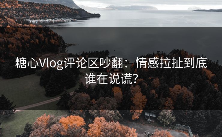糖心Vlog评论区吵翻：情感拉扯到底谁在说谎？