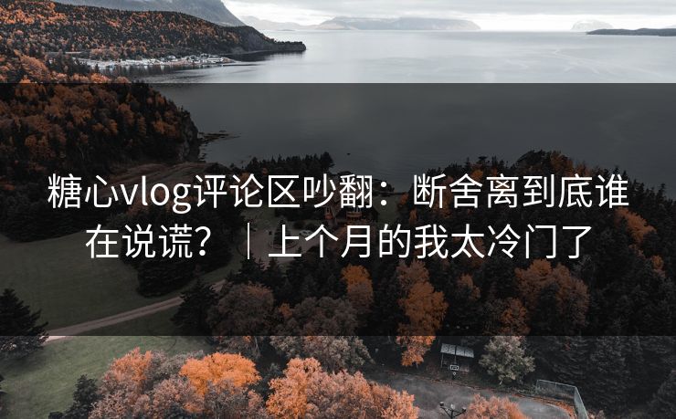 糖心vlog评论区吵翻：断舍离到底谁在说谎？｜上个月的我太冷门了