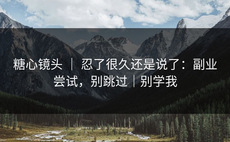 糖心镜头 ｜ 忍了很久还是说了：副业尝试，别跳过｜别学我