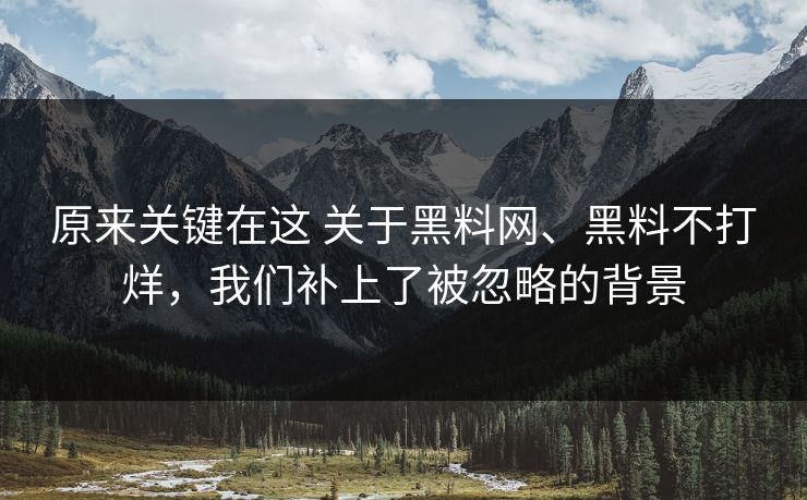 原来关键在这 关于黑料网、黑料不打烊，我们补上了被忽略的背景