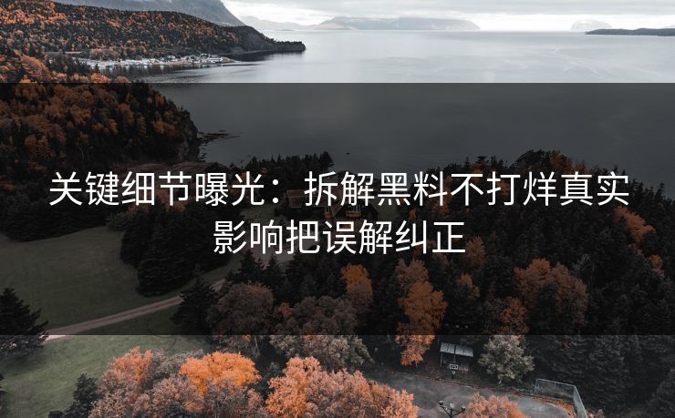 关键细节曝光：拆解黑料不打烊真实影响把误解纠正