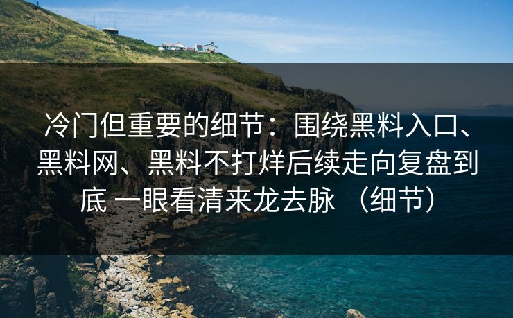 冷门但重要的细节：围绕黑料入口、黑料网、黑料不打烊后续走向复盘到底 一眼看清来龙去脉 （细节）