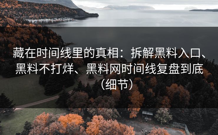 藏在时间线里的真相：拆解黑料入口、黑料不打烊、黑料网时间线复盘到底（细节）