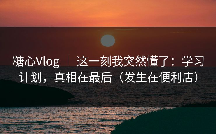 糖心Vlog ｜ 这一刻我突然懂了：学习计划，真相在最后（发生在便利店）