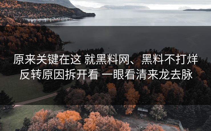 原来关键在这 就黑料网、黑料不打烊反转原因拆开看 一眼看清来龙去脉